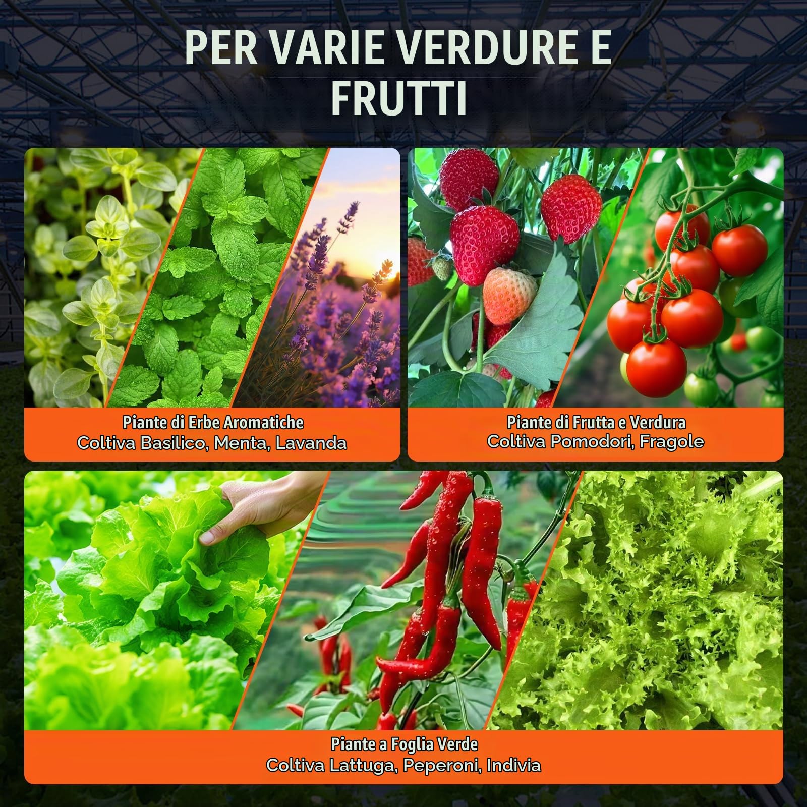 VEVOR Sistema di Coltivazione Idroponica DWC Kit Coltura in Acqua Profonda da 20 Litri, 1 Secchio, Pompa ad Aria, Pietre porose, Dispositivo di Livello dell'Acqua, per Verdure a Foglia, Fiori