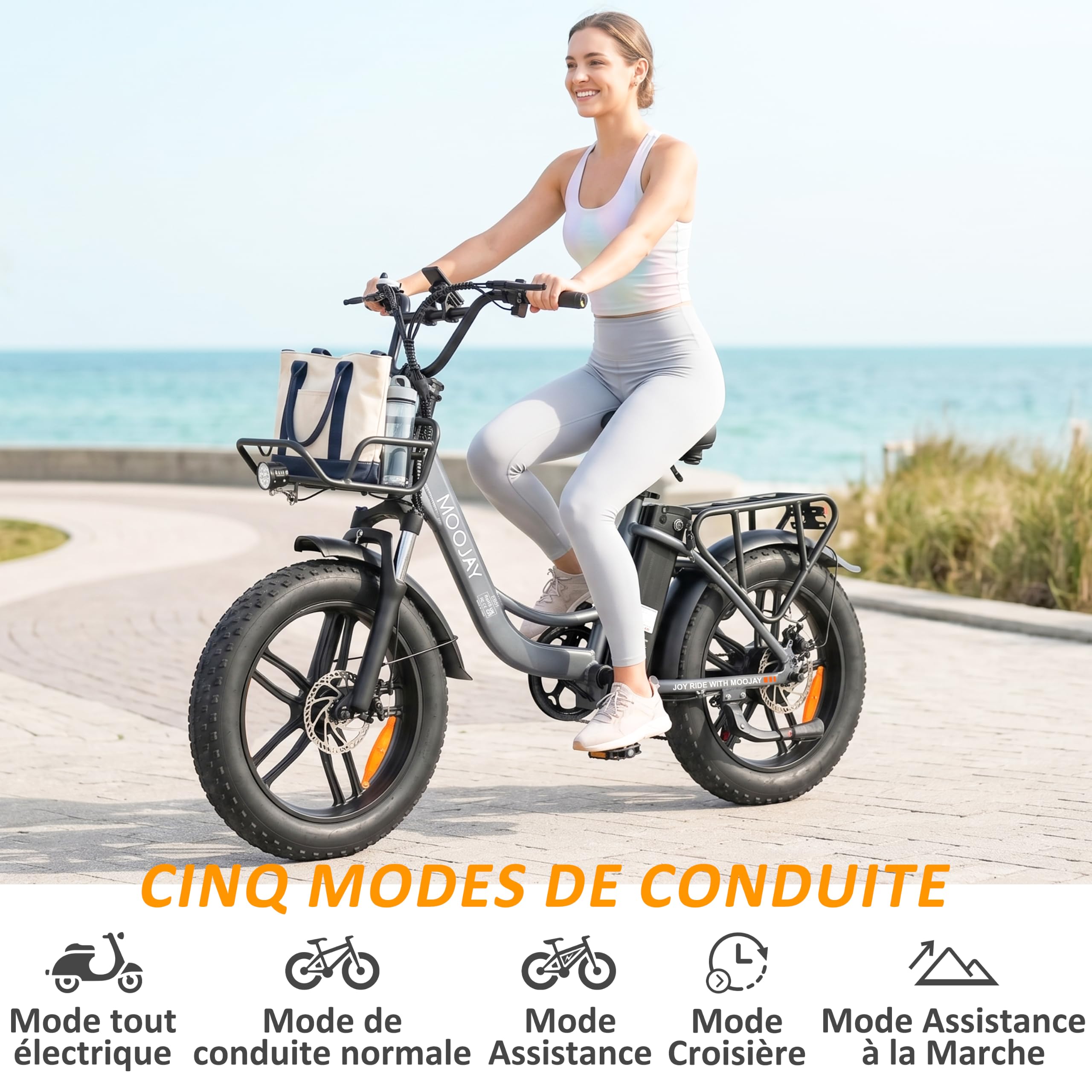 Vélo Électrique Adulte, Autonomie 80km, 25 km/h