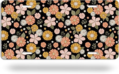 Placa de matrícula delantera, cubierta vintage para matrícula, de acero inoxidable a prueba de óxido, placa de metal para automóvil, divertida