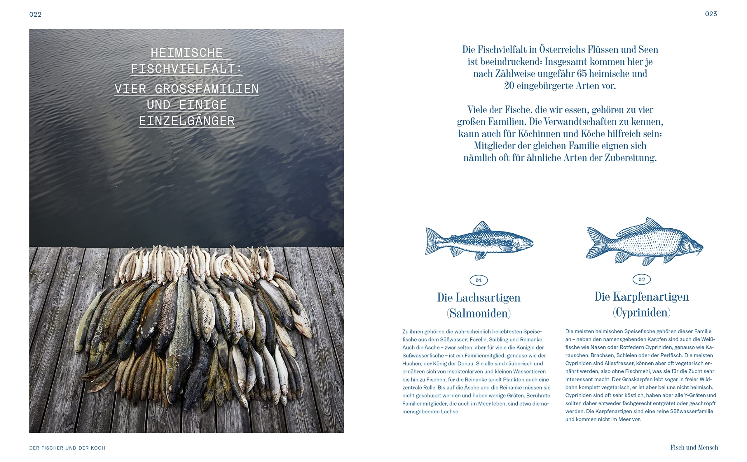Der Fischer und der Koch: Die neue heimische Fischküche