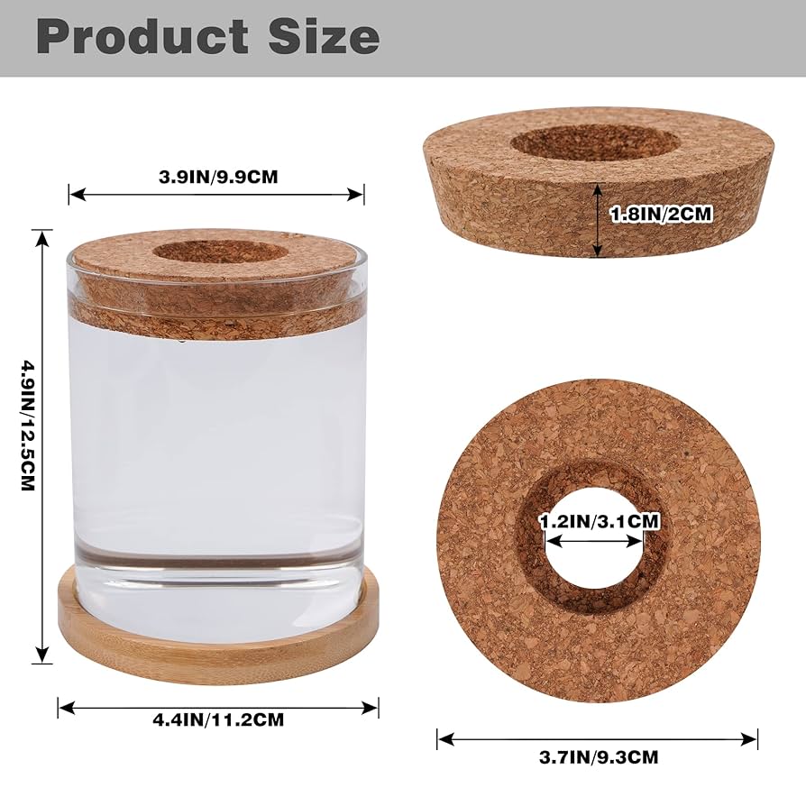 【アボカド】火鉢 Amazon.co.jp: Bylion アボカドツリー栽培キット 5個 アボカド