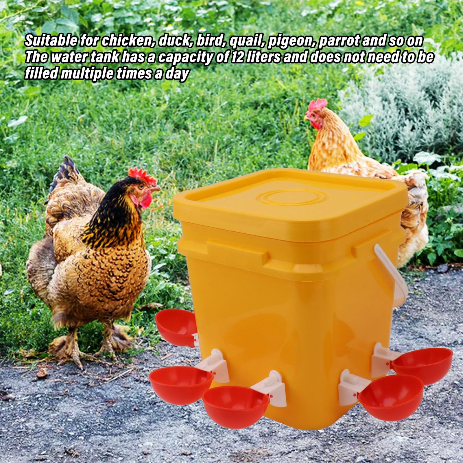 Bebedero Automático para Pollos, Alimentador y Bebedero para Pollos de Barril de 12L, Suministros para Gallinas Pequeñas, Bebedero para Aves de Corral (Cubo + Tazón Rojo Grande +