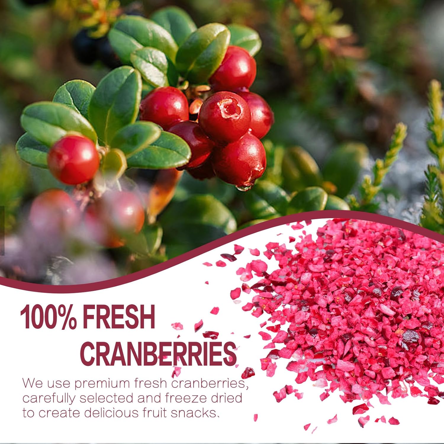 Freeze Dried Cranberries Pieces, Frozen Cranberries, No Added Sugar, 100% Natural, Freeze Dried Fruit for Cooking, Cereal, Yogurt, Drinks, 3OZ/85G