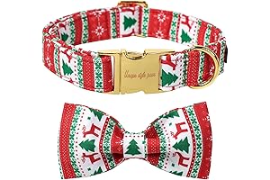 Unique Style Paws Christmas Day Dog Collar with Bow