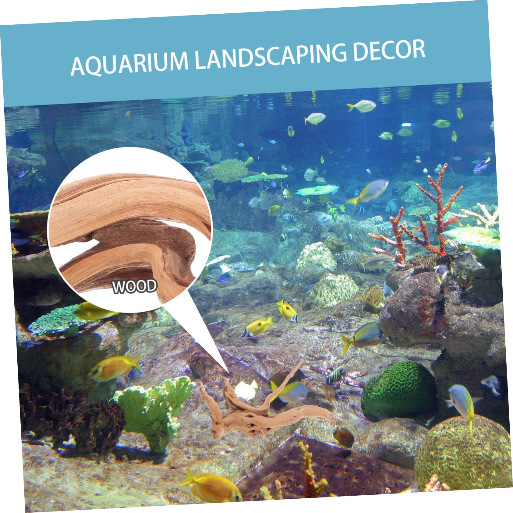 3 Piezas Decoración Acuario Natural de Peceras Adornos de Troncos Reptiles Accesorios de Acuario Paisajismo Sin Contaminación