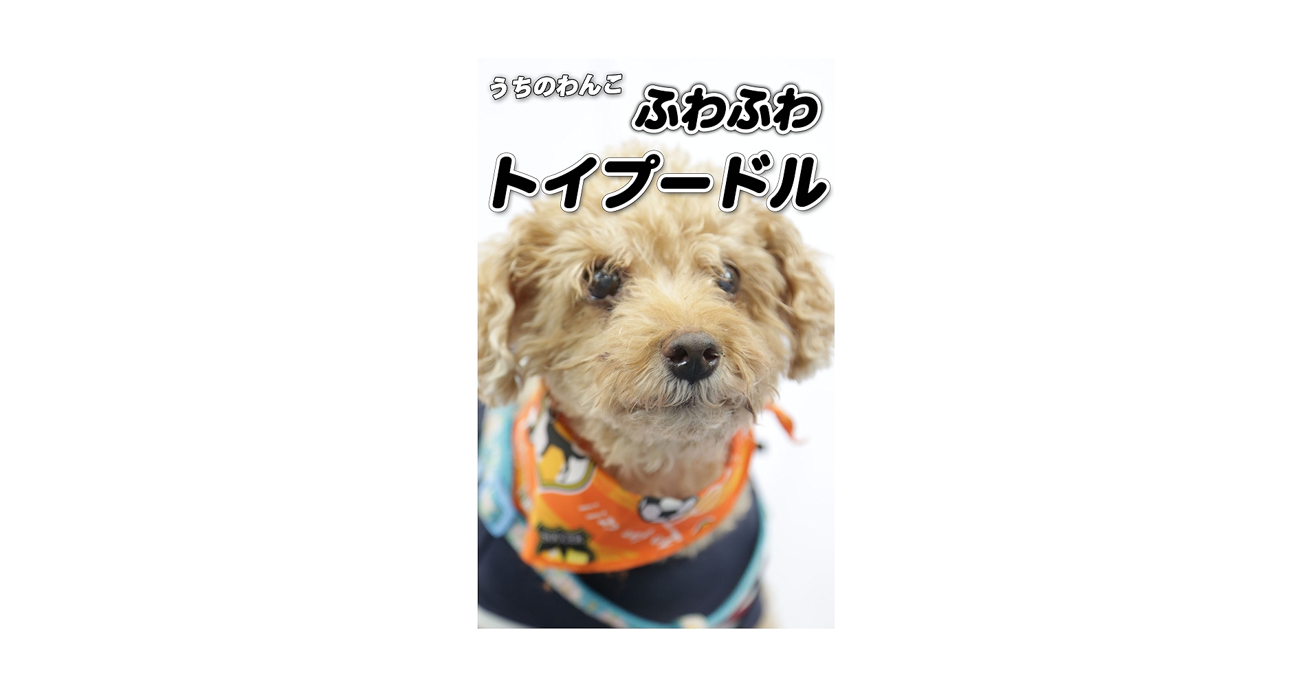トイプードル 写真集 Amazon.co.jp: AI トイプードル写真集 eBook : 伊谷氏優: Kindle
