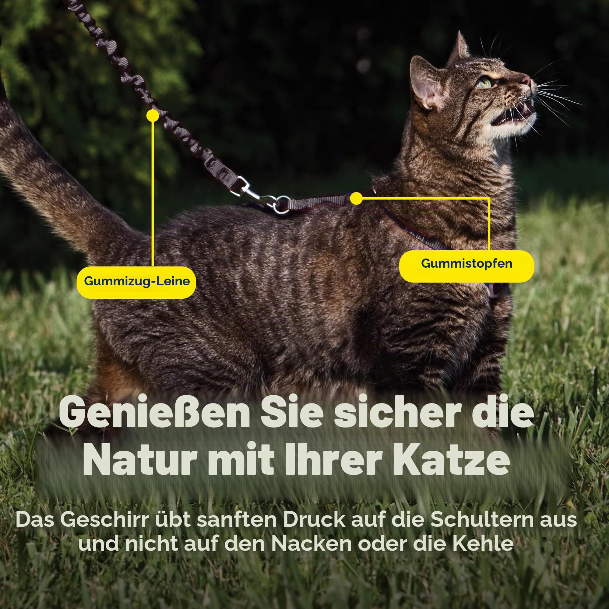 PetSafe Come with Me Kitty Geschirr und Bungee-Leine, Geschirr für Katzen, Größe S, Schwarz/Silber