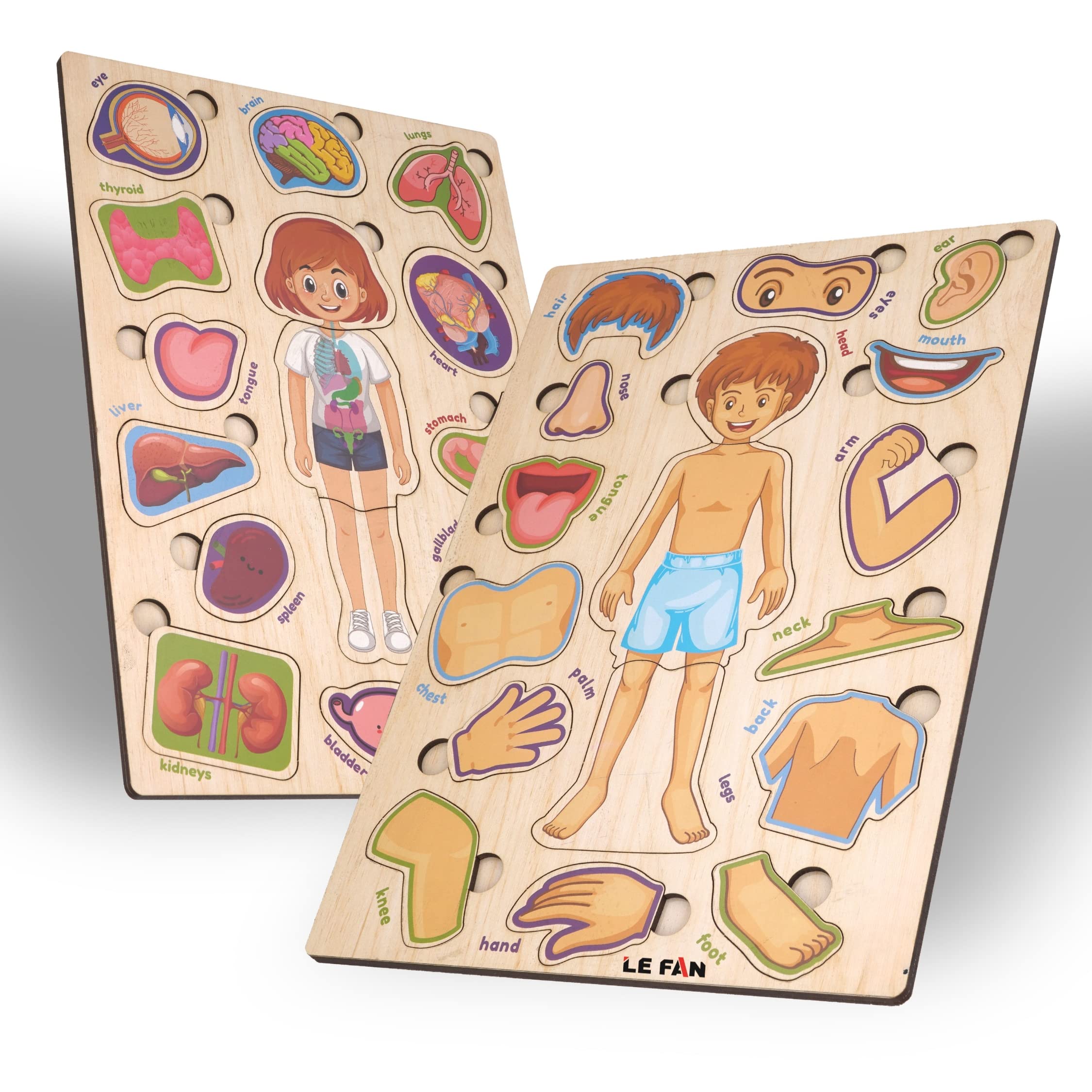 Lefan Engage Kids with Human Body Part Puzzle | Wooden Learning Toy for Brain Development | Montessori Play School Equipment | Educational Toy for Kids 2+ | Promotes Learning & Motor Skills