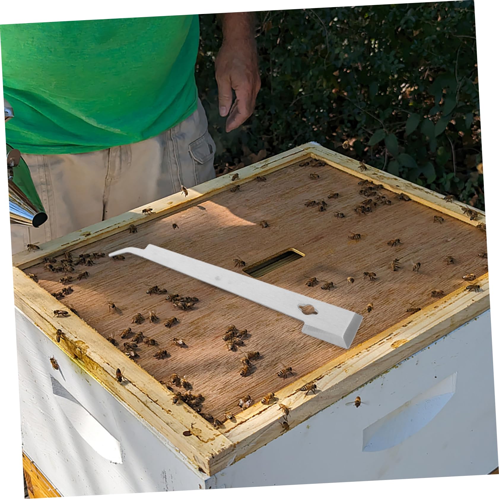 Didiseaon 5 Pezzi Di Strumenti Per L'Apicoltura Raschietto Per Apicoltore Raschietto Per Alimentatore Detergente Per Finestre Sicurezza Forniture Per L'Apicoltura Strumento