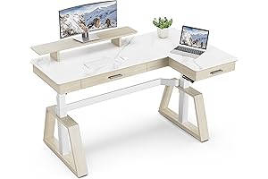 EUREKA ERGONOMIC Electric Standing Desk: Executive Elegance in Motion