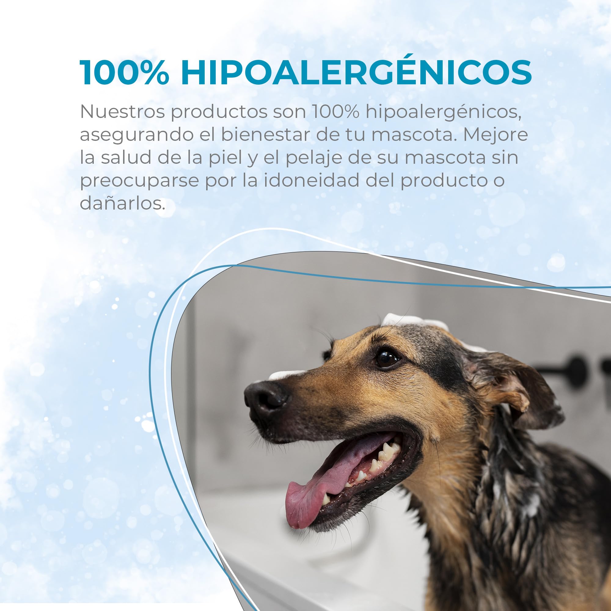 PUREZA PET Champú Nutrition Pro Hipoalergénico 1L - Línea Profesional - Nutrición y Reestructuración del Pelo de Perros y Gatos - Vegano, Sin Parabenos, Silicona y Sulfatos