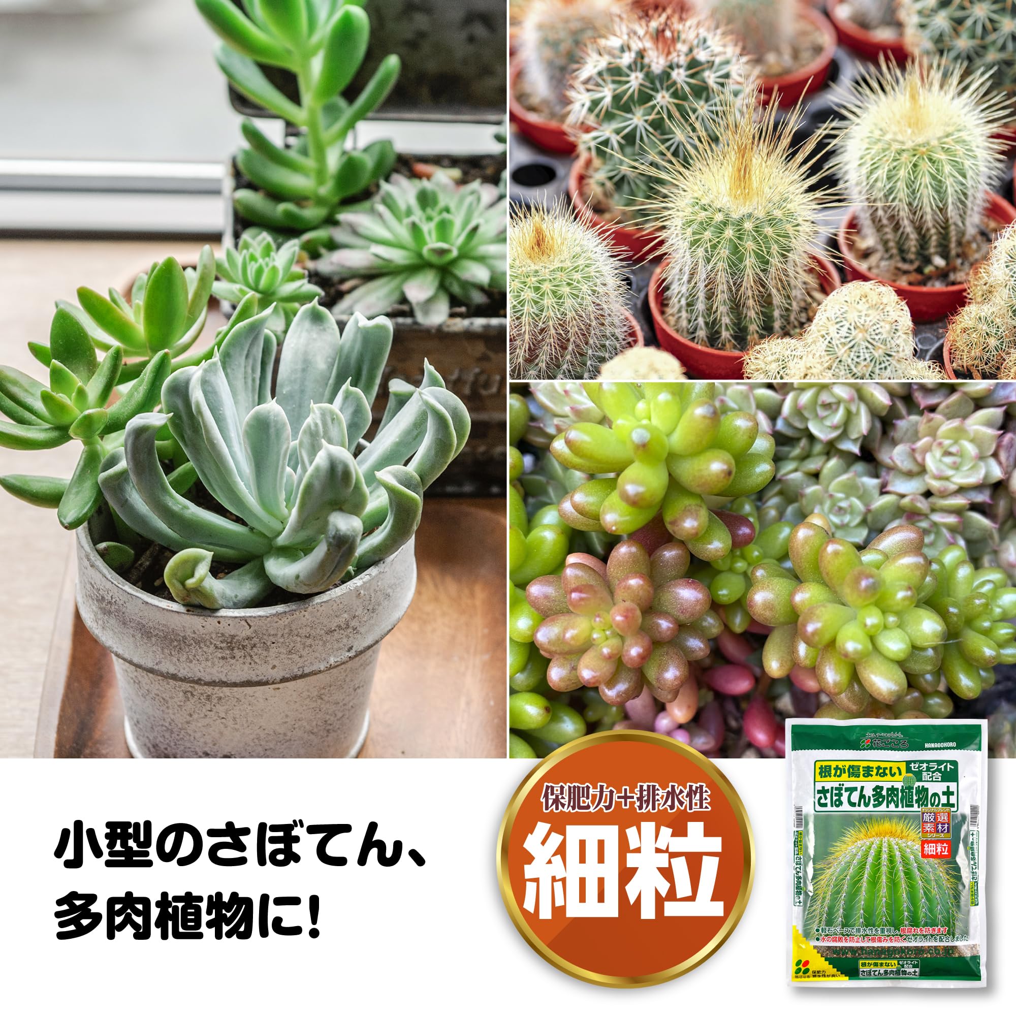 Amazon | 花ごころ さぼてん多肉植物の土 2l | 用土