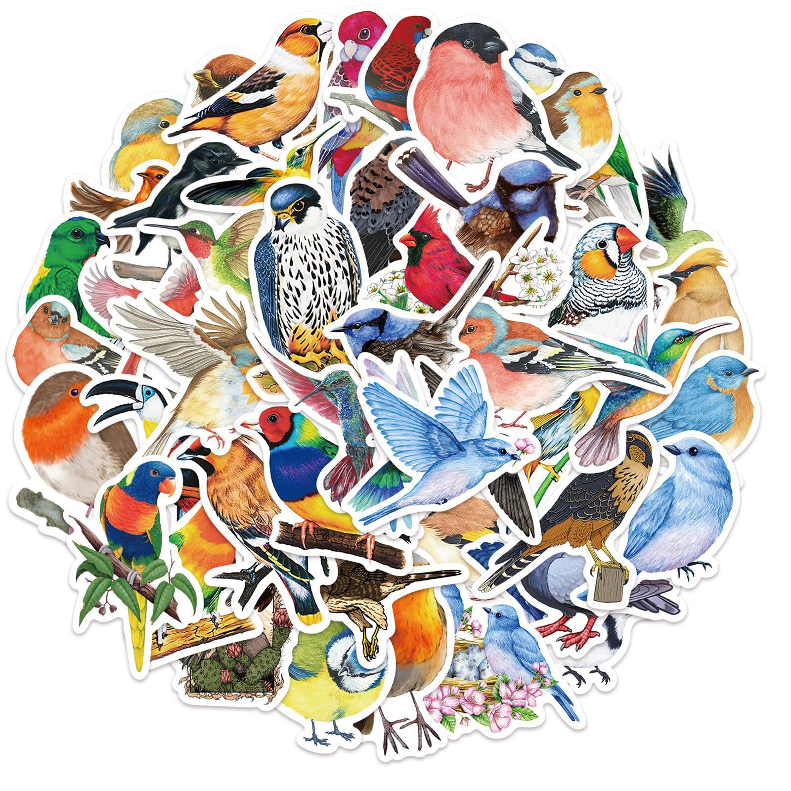 50PCS Bird Stickers, Colourful Animal Vinyl Decals for Scrapbooking Journaling Crafting Laptop Water Bottle Phone Case Guitar Notebooks Travel Decorations Gifts for Nature Lovers & Teens