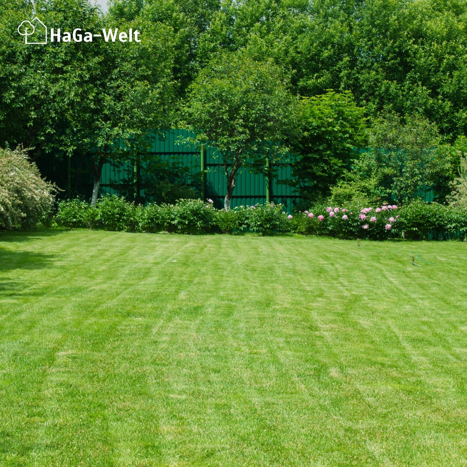 HaGa Rasenmatte 1m x 25m – biologisch abbaubarem Baumwollvlies – schnelles Wachstum mit eingebetteten Rasensamen – ideal für Garten & Hangbefestigung – natürlicher Rasenteppich mit echten Grassamen