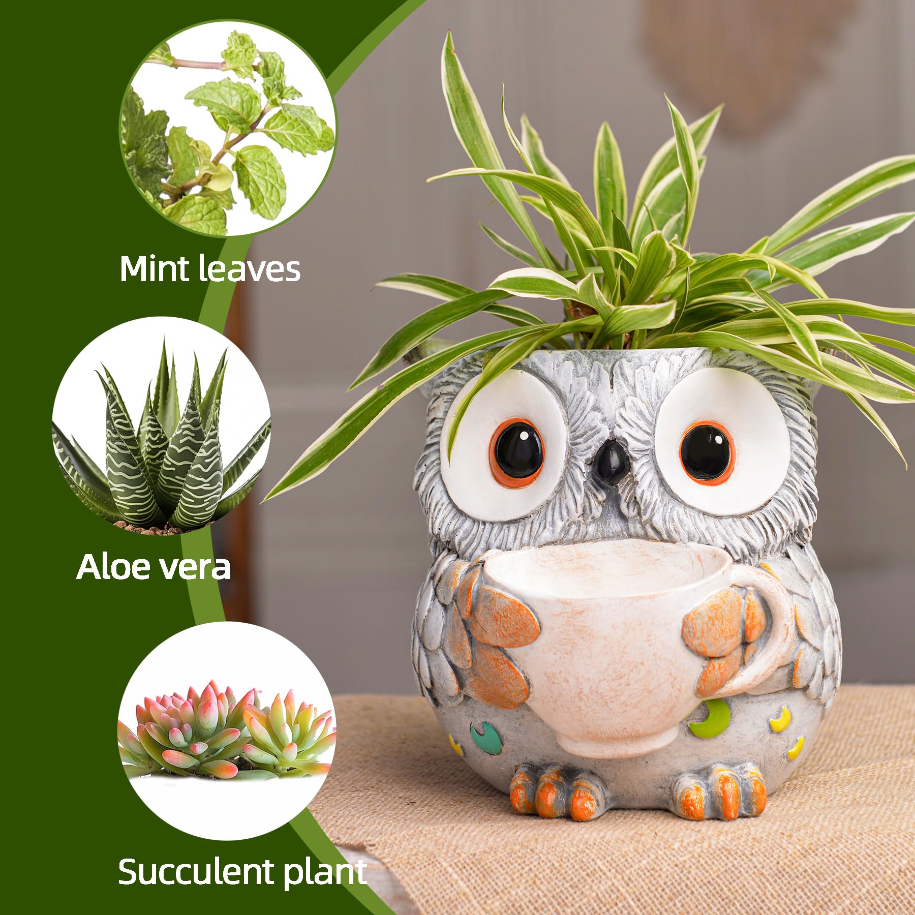 Amazon.co.jp: Saysmile ユニーク フクロウ 植木鉢 屋内 かわいい 小型