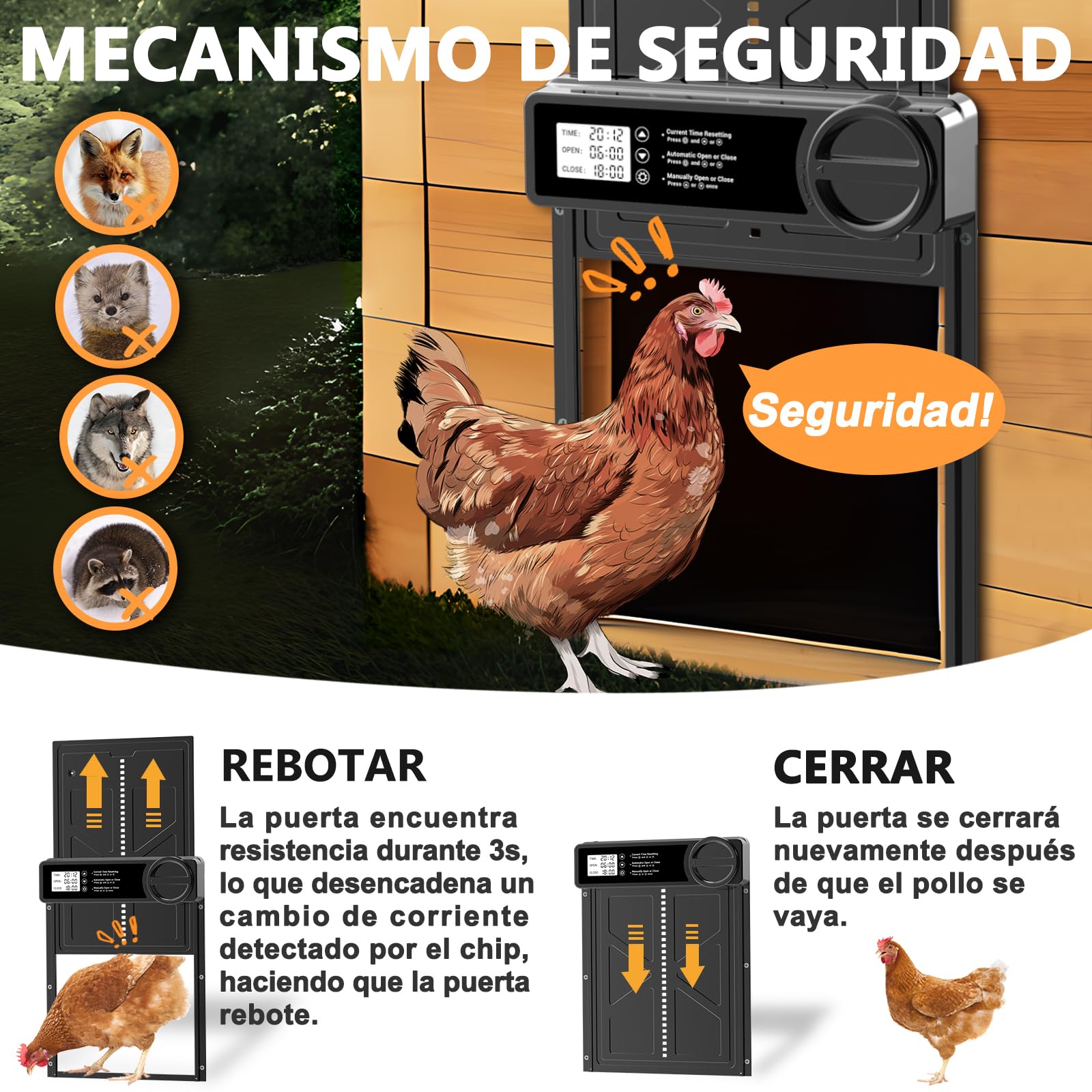 INNOLAND Puerta Gallinero Automática Grande con Pantalla LCD, Aluminio, Anti-atrapamiento, Alimentada por Batería