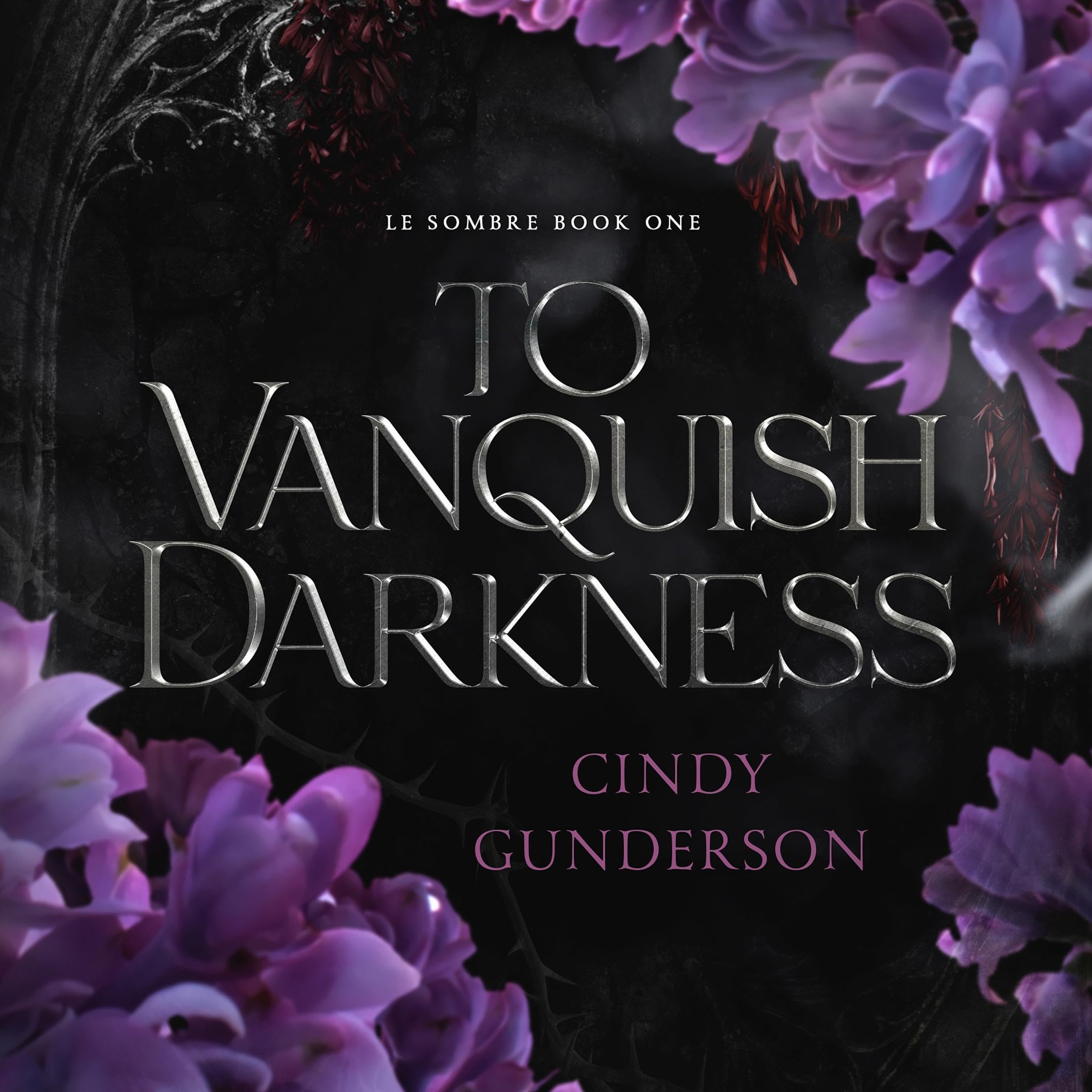 Cover art for To Vanquish Darkness
