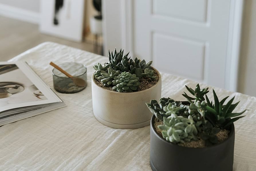 【鉢2個セット】backsideworks 利休 qutotenコラボ鉢 セット 鉢2個セット】backsideworks 利休 qutotenコラボ鉢 セット