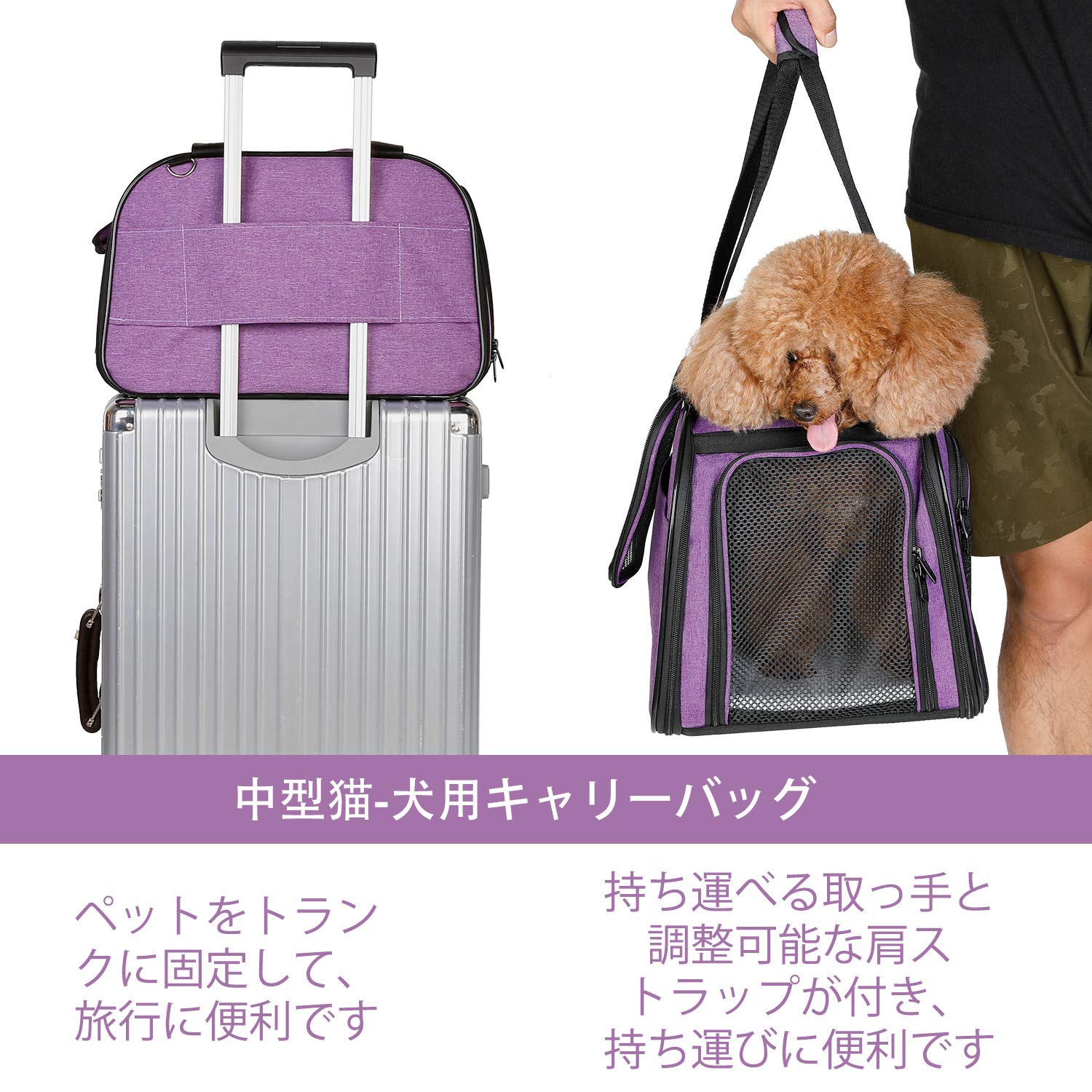 Amazon.co.jp: X-ZONE PET 犬•猫用ペットキャリーバッグ 手提げ