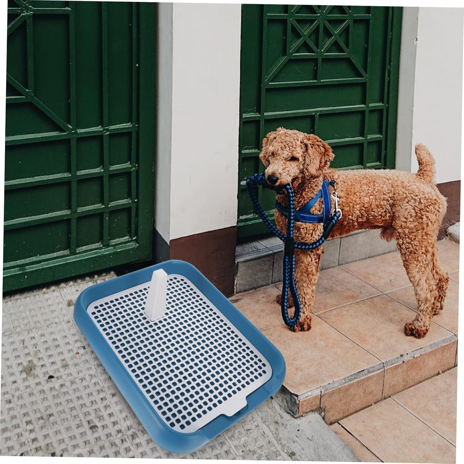 Pet Toilet Train Potty Design Indoor Dog Potty Station for Puppies and Small to Dogs Non Slip Plastic Tray for Easy Cleaning and Toilet Habit Training Safe and Comfortable Use