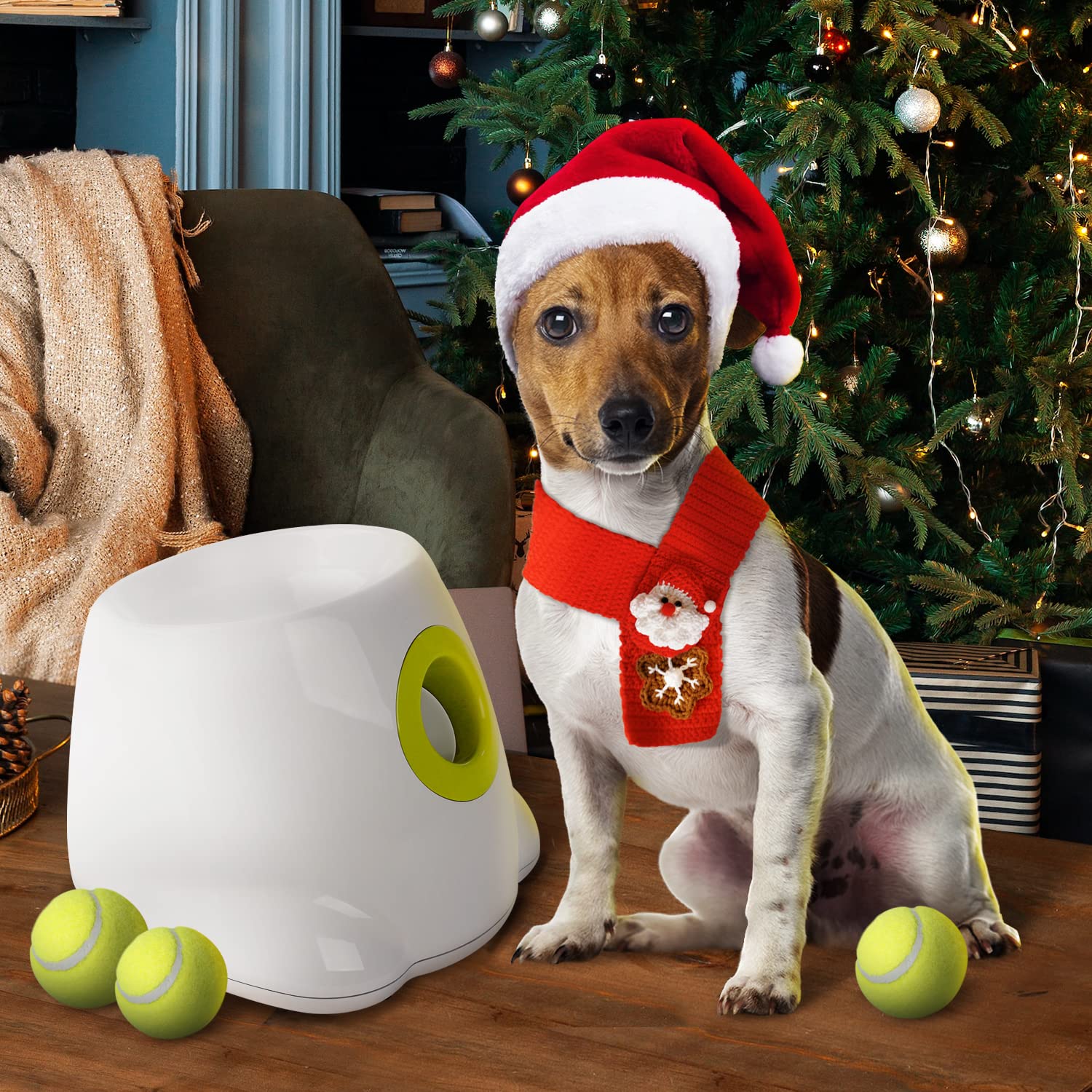 ALL FOR PAWS Automatischer Ballwerfer für Hunde – Interaktive Ballwurfmaschine mit 3Pcs 2" Tennisbällen, für kleine & mittlere Hunde, Hundespielzeug, Interaktives Hundespielzeug