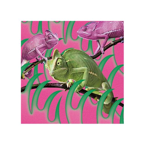 Yo-Ho / 赤い公園