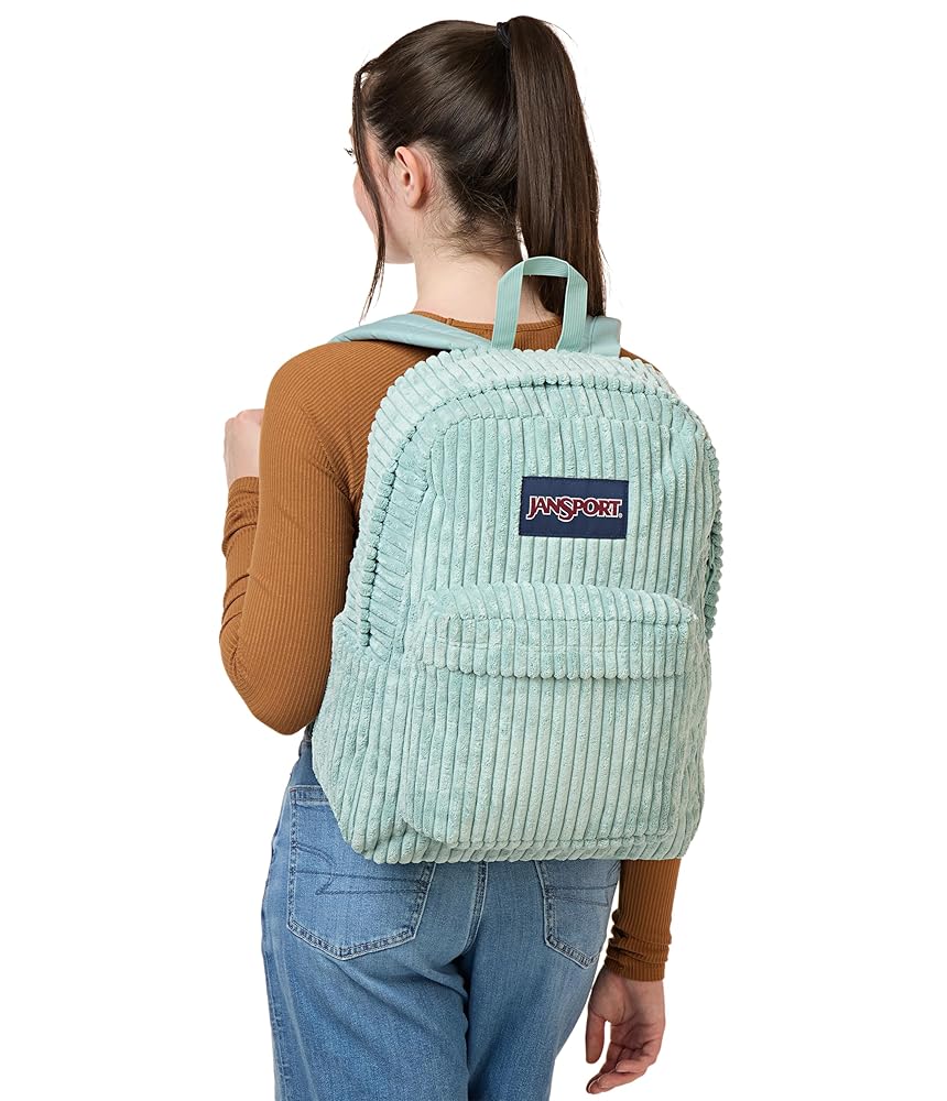 Amazon.com | JanSport Superbreak Plus FX Backpack - Work