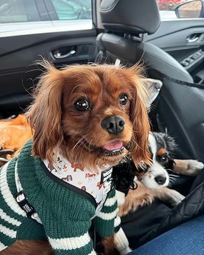 Miniatura 9 de Fitwarm Suéter de punto a rayas para perro, ropa de invierno para perros pequeños, niños y niñas, abrigo de cuello alto para mascotas, atuendo para