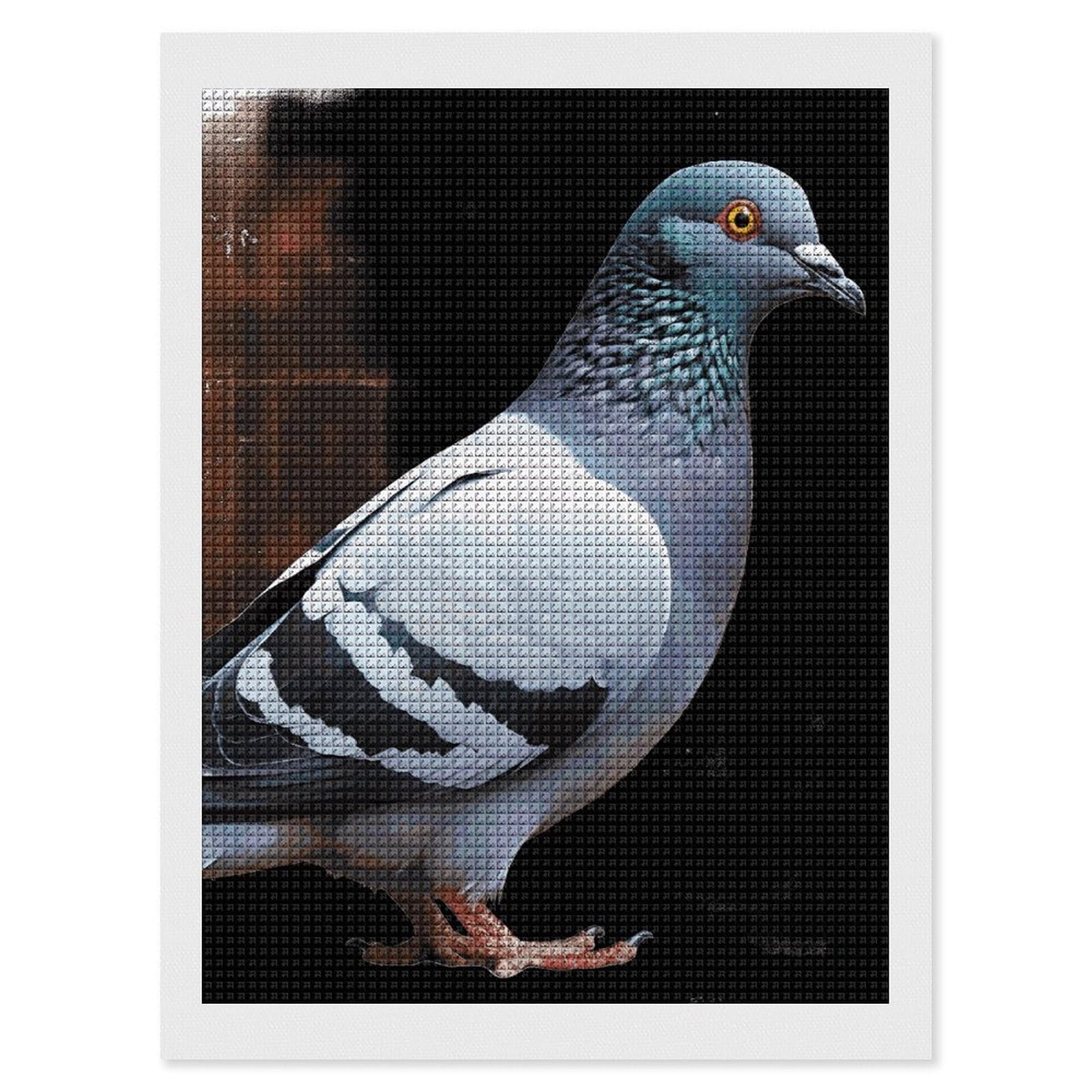 FodPand Pigeon 5D Diamond Painting Kits for Adults Beginners Full Drill Square Diamond Dots Pictures Gem Art Supplies for Home Wall Room Decoration DIY Craft Set Gift 12x16