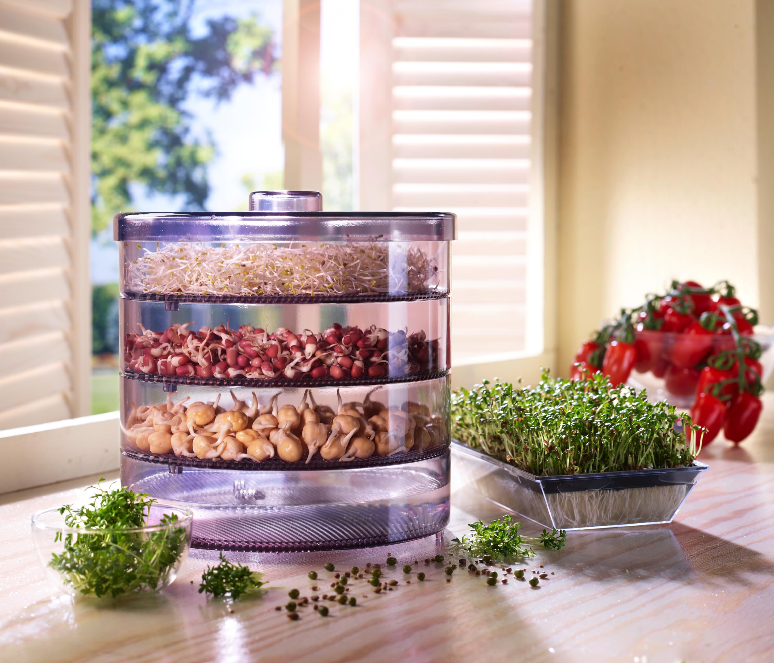 Dehner Sprossenhaus, para el cultivo de brotes de gérmenes, con 4 cuencos.