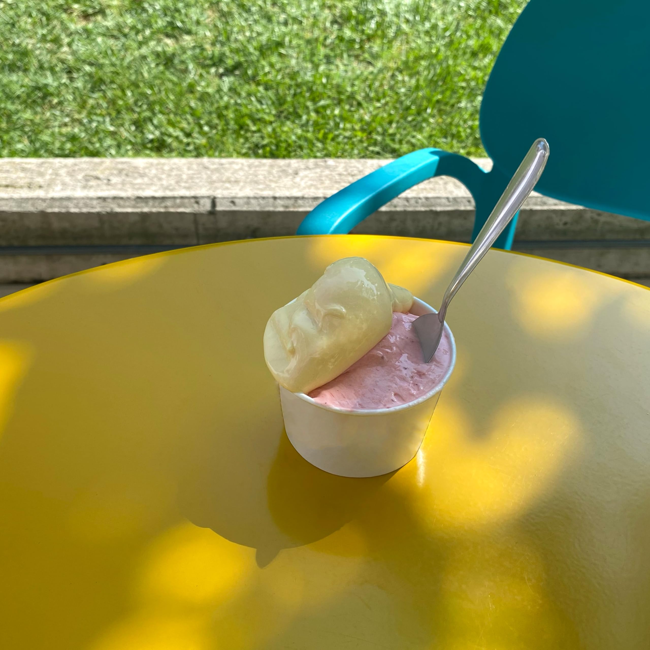 Pintinox 50 cucchiaini per gelato acciaio inox nichel free
