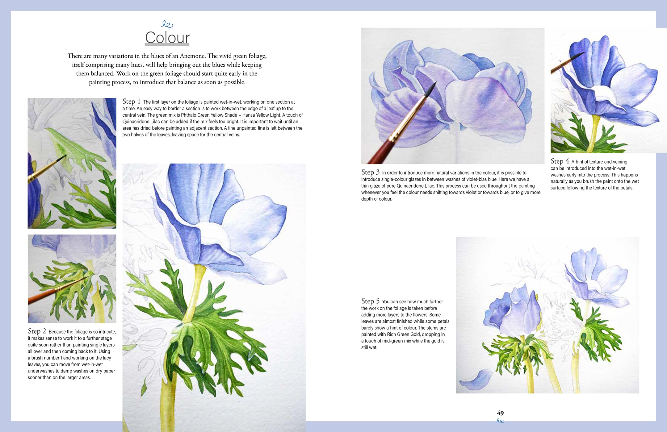 Botanical Watercolours through the seasons: An All-year-round Guide to Painting Flowers and Plants