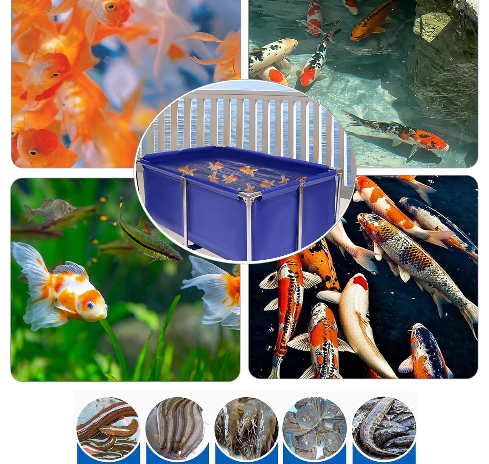 生簀　鯉、川魚、鮮魚、海水魚　などにイケス 生簀 鯉、川魚、鮮魚、海水魚 などにイケス 生簀 鯉、川魚、鮮魚