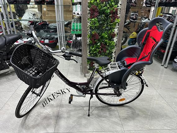 BIKE SKY Unisex Kids Gray-Red Htp Design Italian Bicycle Seat Luggage Mounting