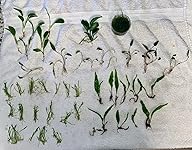 Review Image by Kathy Gunter Kathy Gunter