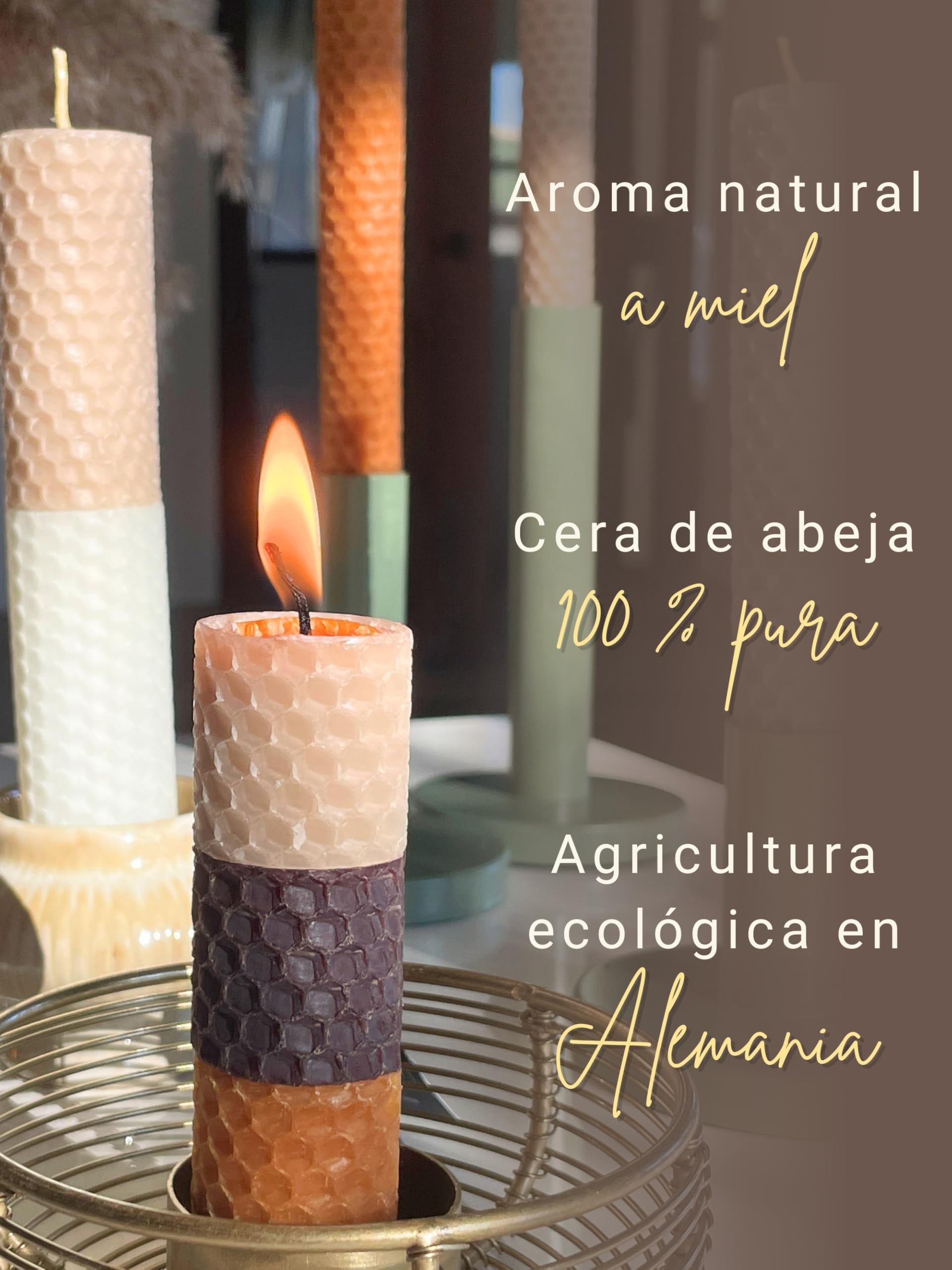 Wachsmann 20 placas de cera de abejas de Alemania, set colorido "Natural", placas de cera 20 x 15 cm, haz tus propias velas de cera de abejas, cera para velas