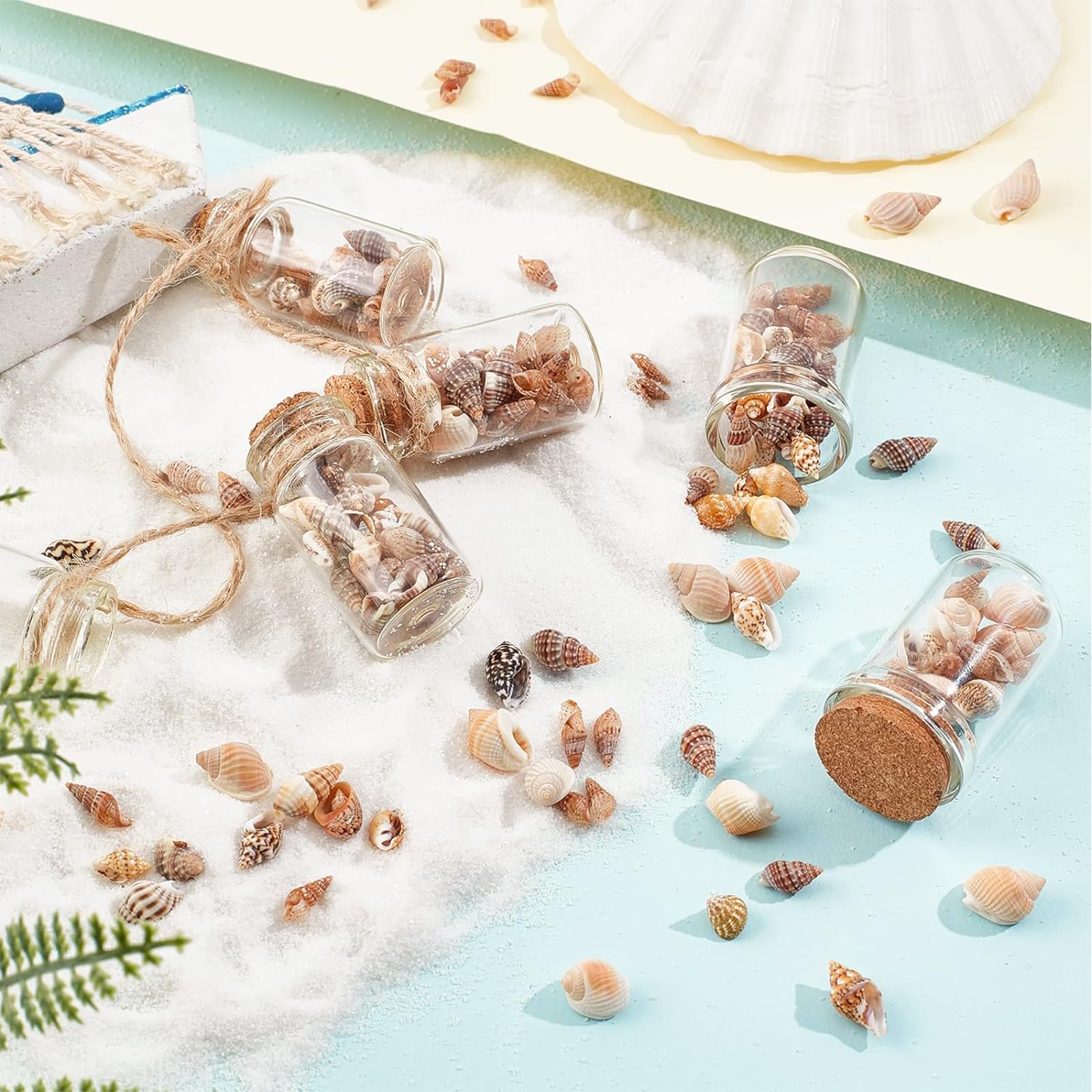 Troca Pearlized Mini Schelpen 1-3 cm 50 stuks | Losse Kleine Schelpen