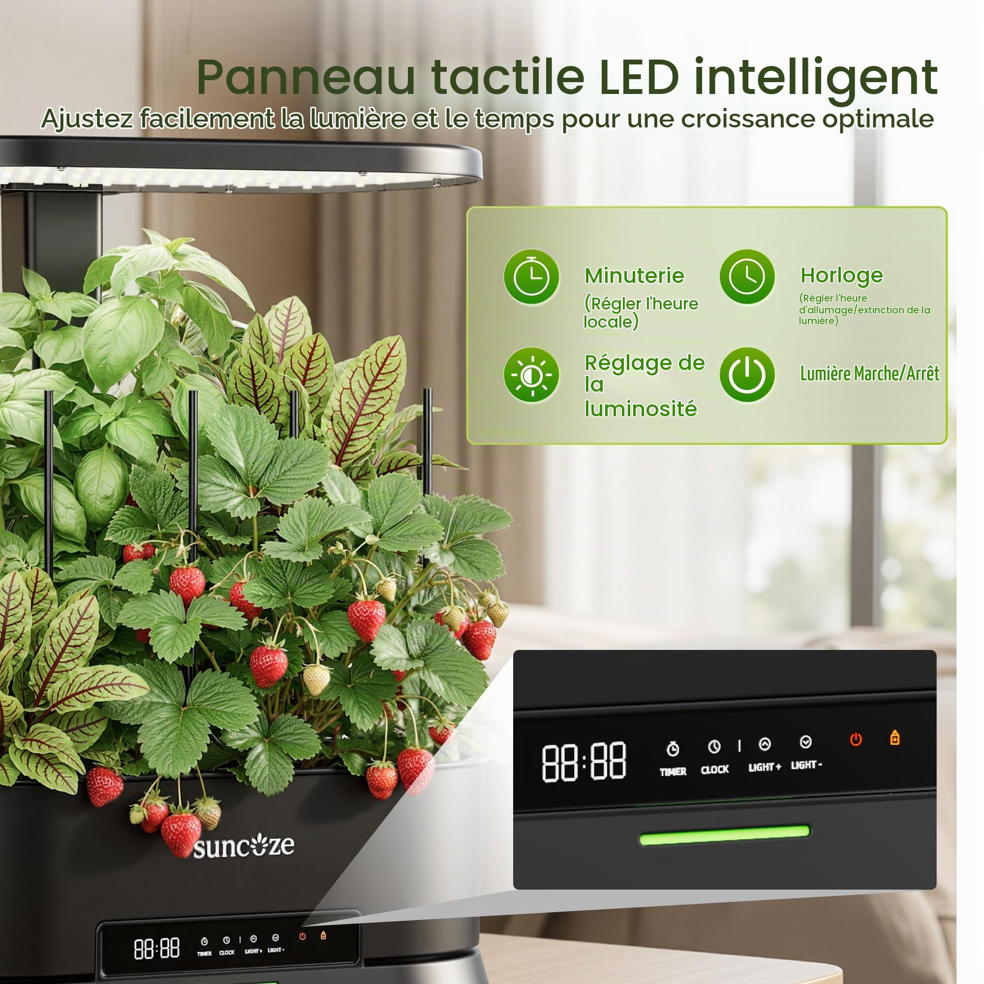 PEGZONE SUNCOZE Potager Hydroponique Amovible avec 12 Paniers, Noir | Jardin d'Intérieur avec Lampe LED 36W, Réservoir 5L, Hauteur Réglable jusqu'à 550 mm, Kit Hydroponique avec Minuterie