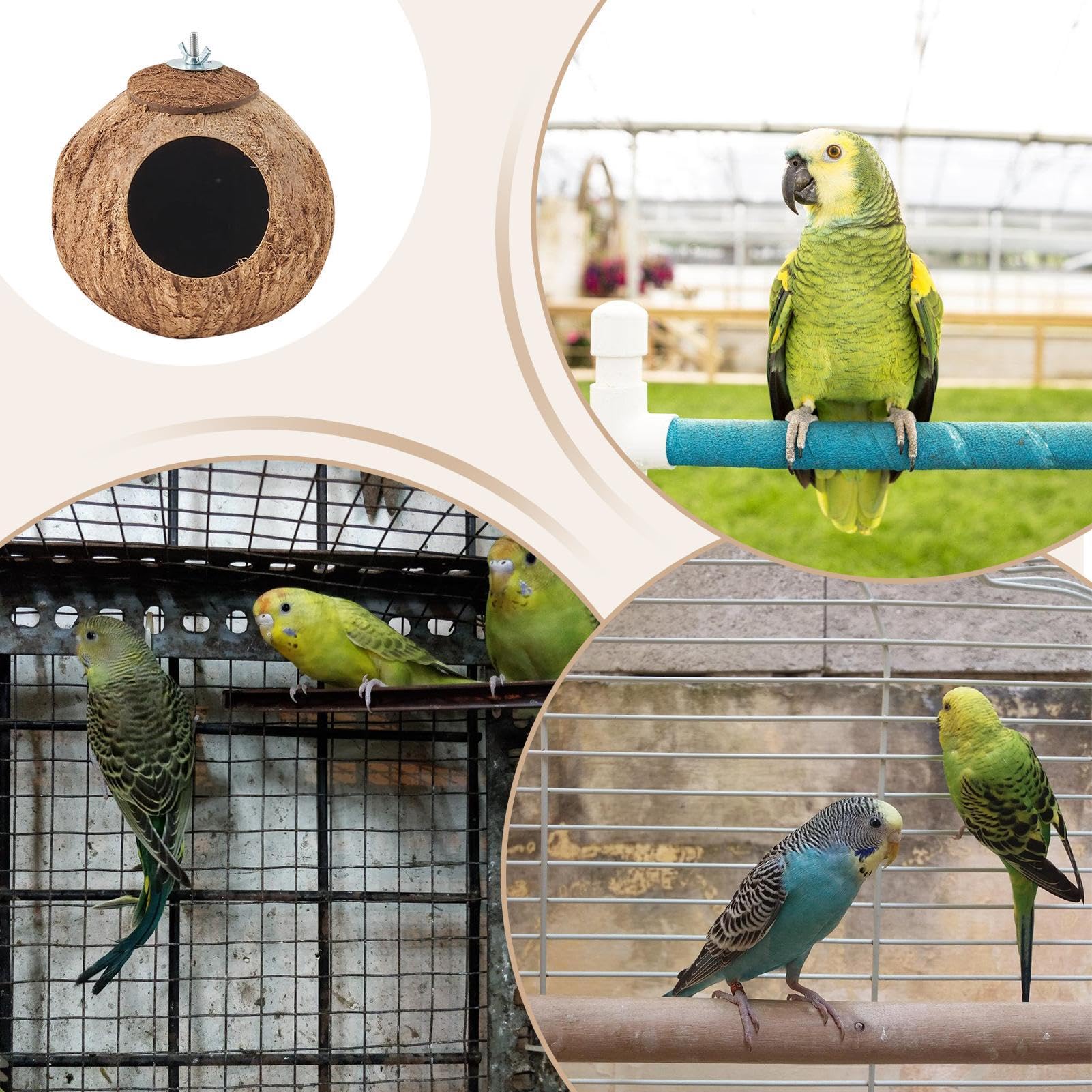 Natürliches Kokosnuss-Vogelhaus - Nistplatz Für Käfigvögel & Dekorative Deko