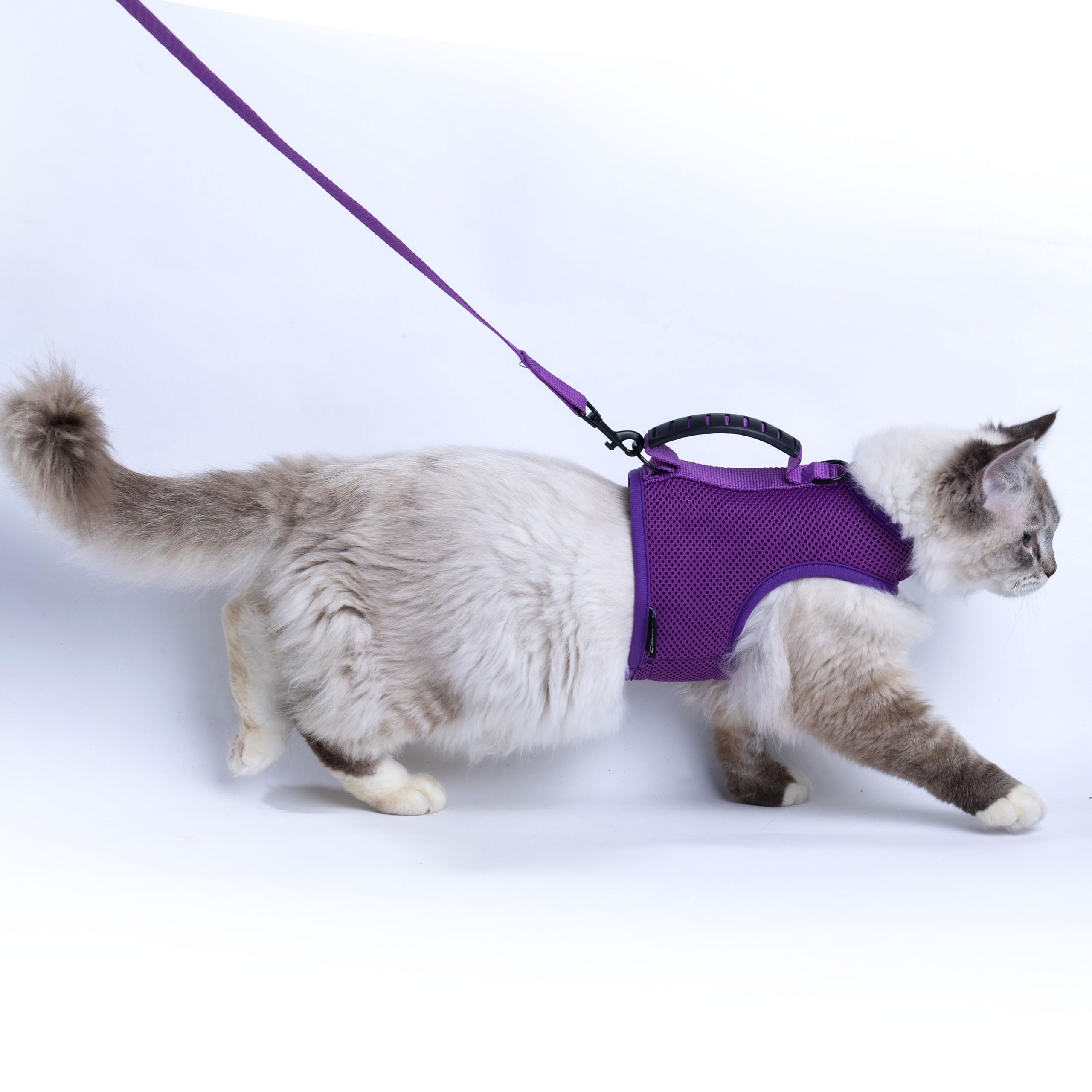 Yizhi Miaow Cat Harness and Leash for Walking Escape Proof Breathable Mesh Fabric, Purple, Extra Large, Adjustable Cat Walking Jackets with Handle, Padded Stylish Cat Vest