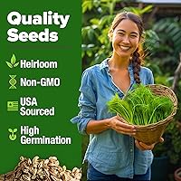 Vista 3 de HOME GROWN Semillas de eneldo sin OMG para plantar 1,014 ramos de semillas de eneldo y semillas de hierbas tradicionales para plantar al aire libre
