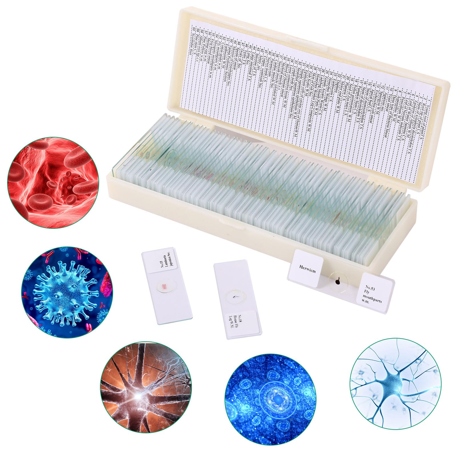 120 Microscope Slides with Specimens, Plant, Insect, Animal, Algae Slide Set for Biological Science Laboratory Basic Biological Science Education — Amazon image 8