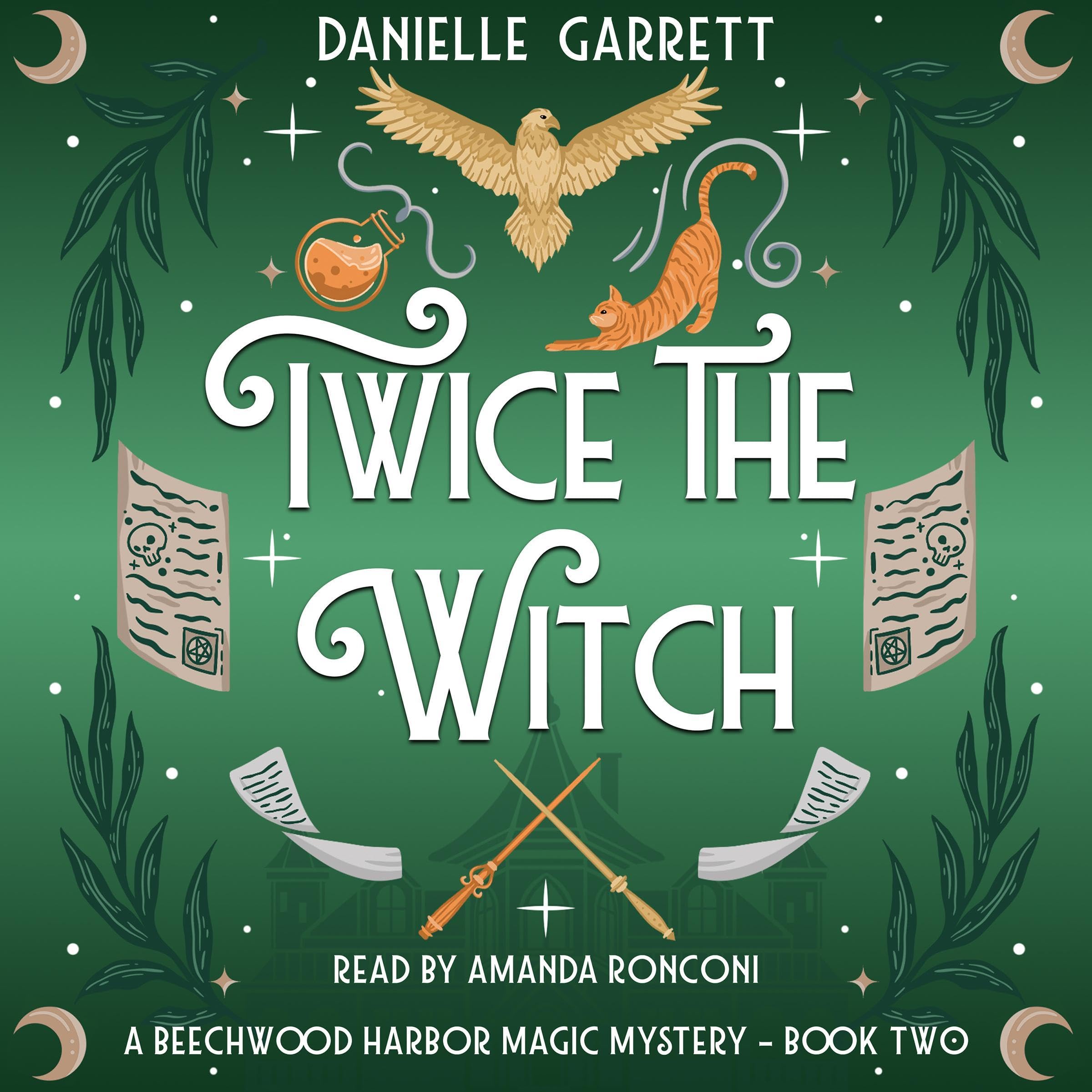 Cover art for Twice the Witch