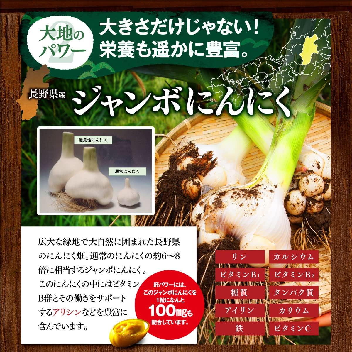 肝パワーEプラス 45粒×4袋 肝パワーEプラス 45粒入 4袋 【公式通販】