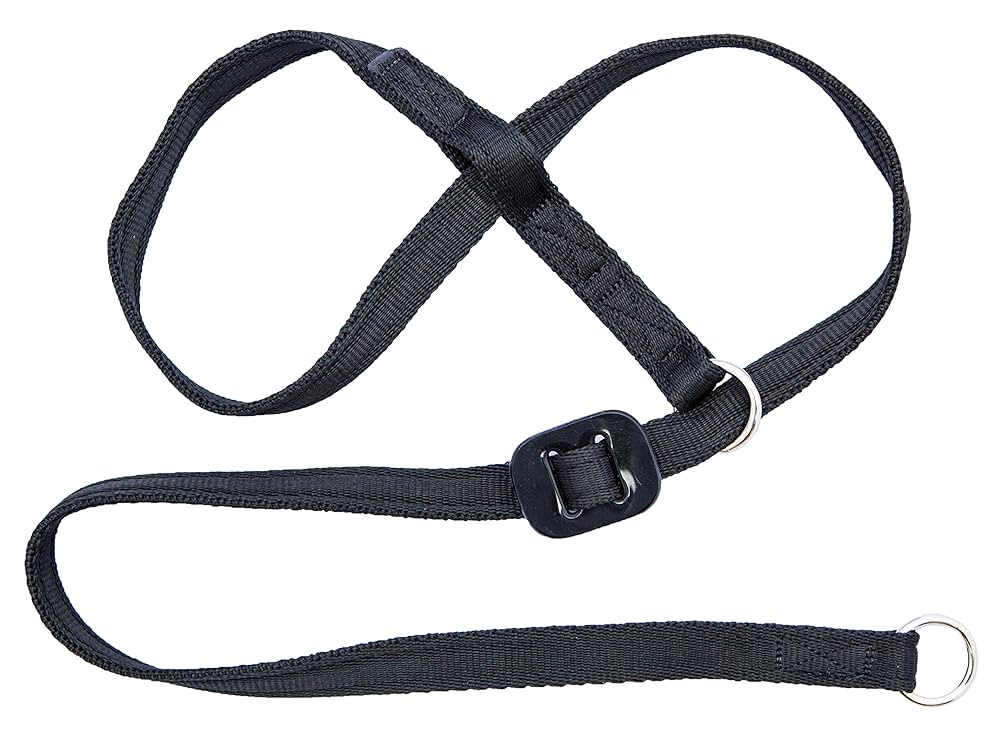 NRTFE Fleece Halter Set Headcollar Horse Collection Bridle Blue (Horse