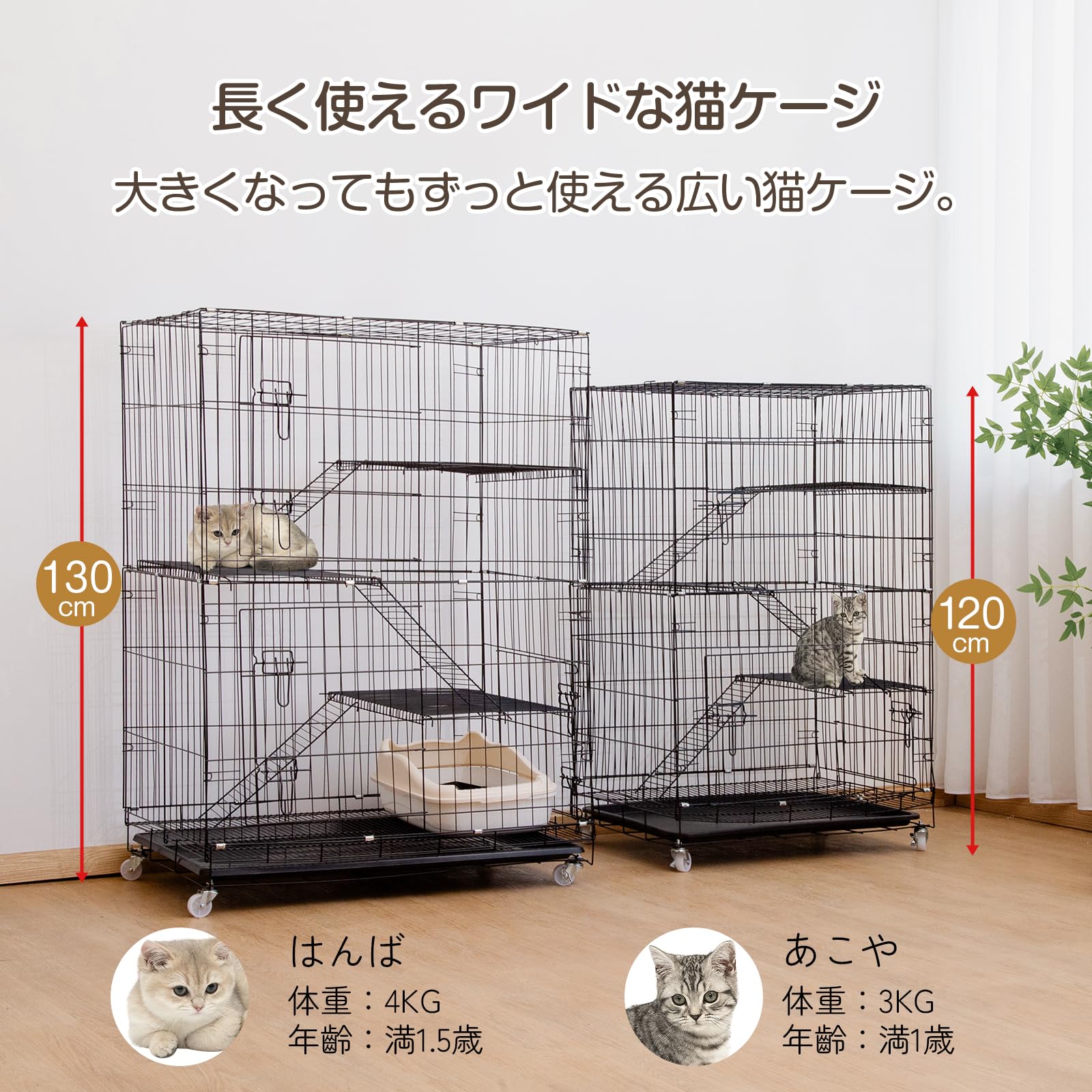 大型キャットケージ ブラック 3段 Amazon.co.jp: Shinyever 猫 ケージ ベーシック 猫ケージ