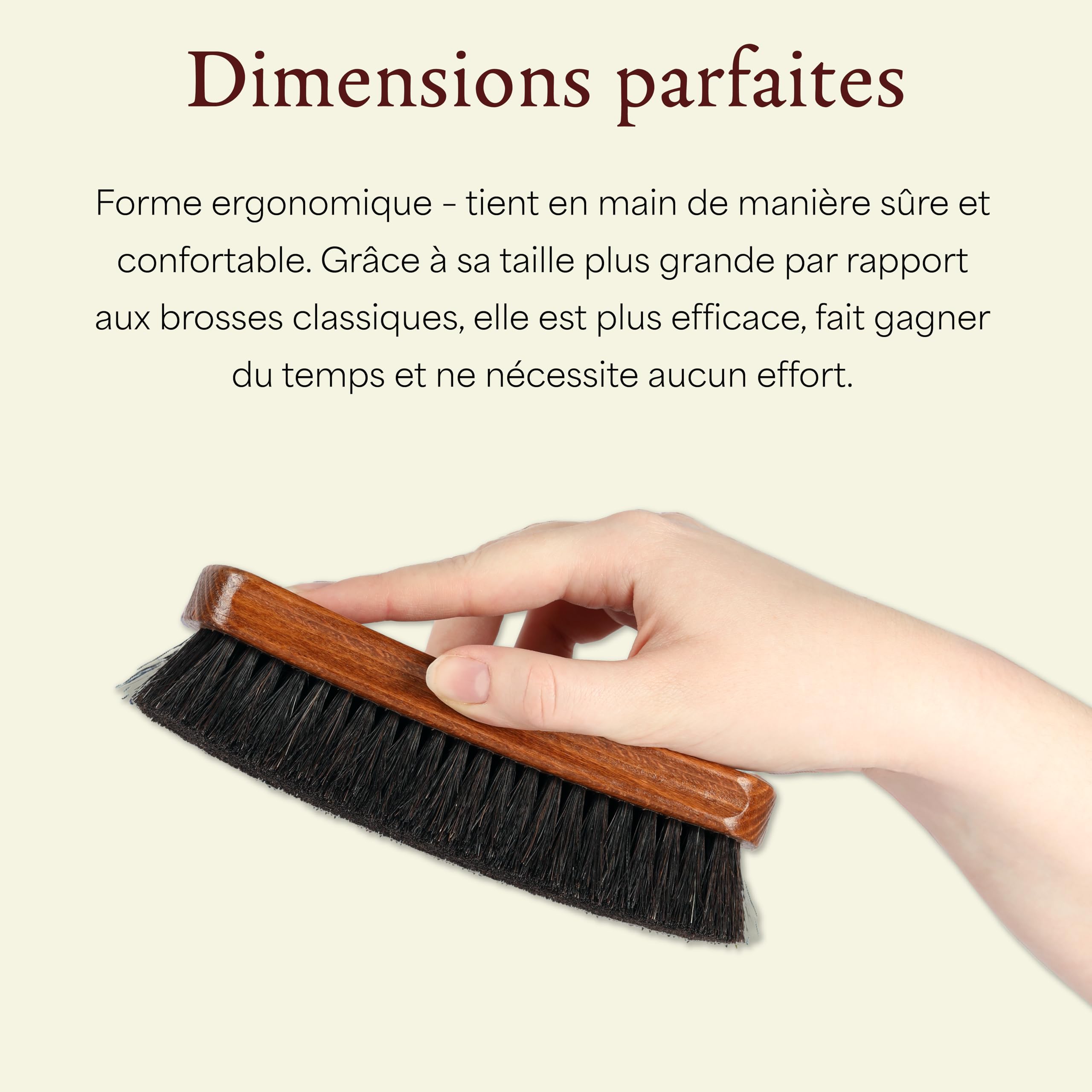 Langer & Messmer kit de brosses à Chaussures en CRIN de Cheval et de chèvre pour l'entretien Professionnel des Chaussures en Cuir Lisse