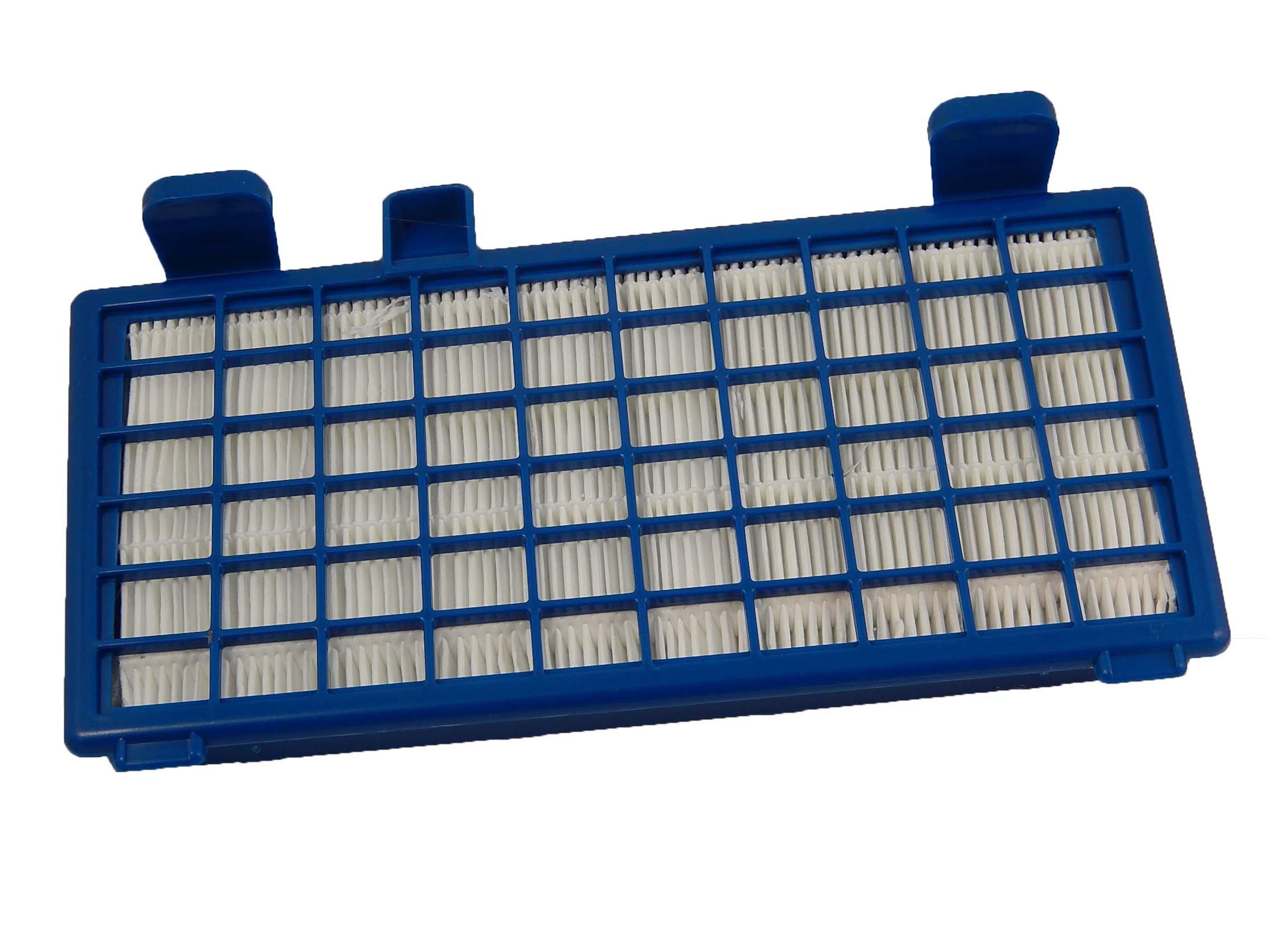 vhbw Filtre compatible avec Rowenta X-​Trem Power Cyclonic RO6221, RO6225, RO6225ea/​410, RO6227 aspirateur - Filtre HEPA