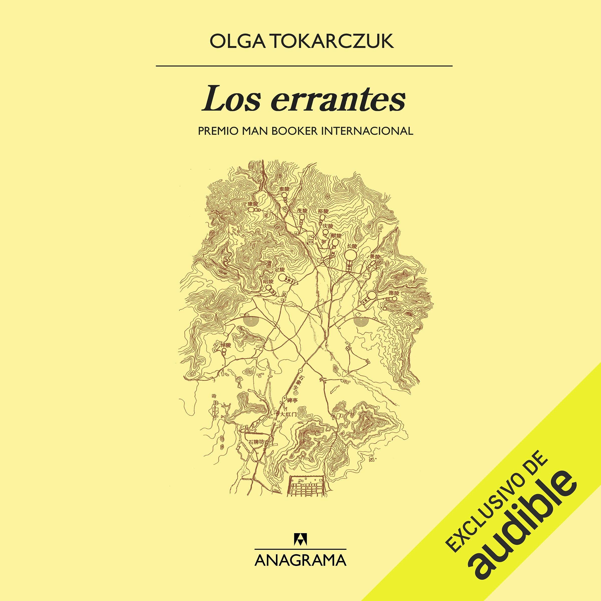 Cover art for Los errantes