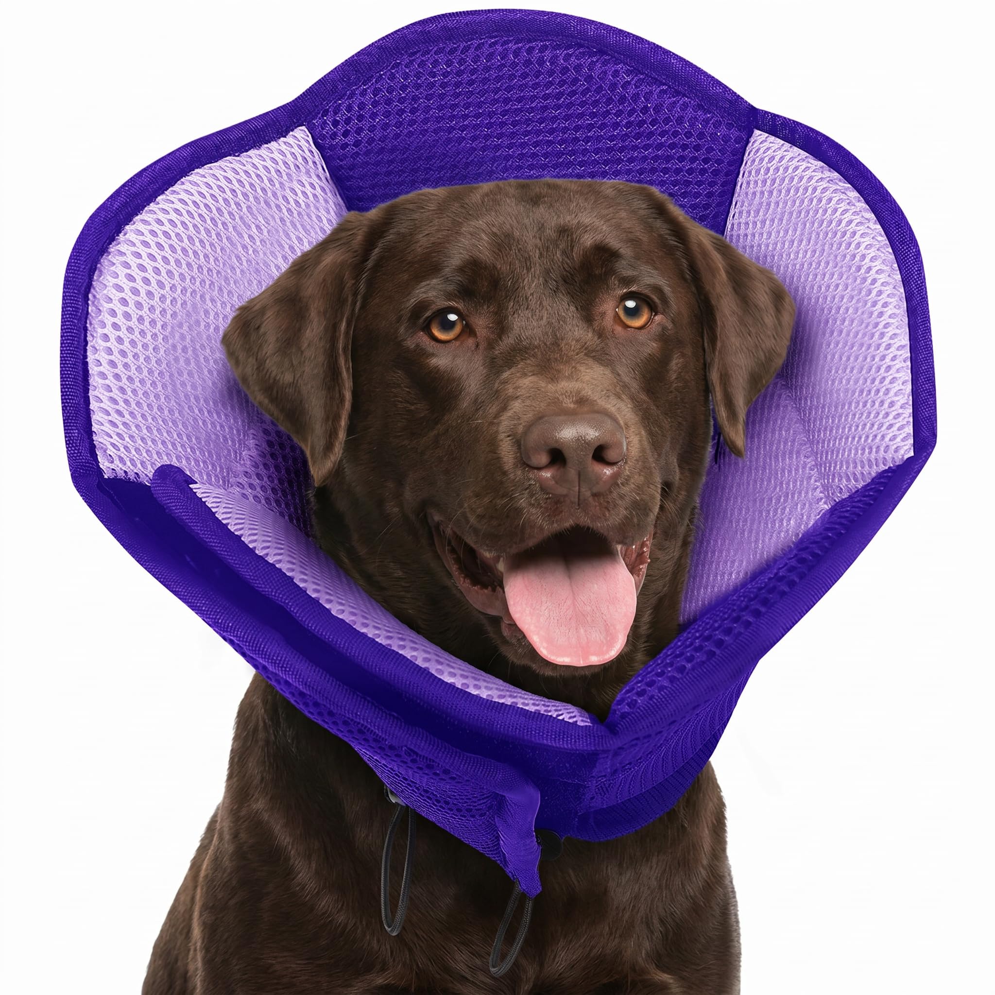AOFITEE Halskrause Hund Weich, Verstellbarer Hundekragen Bequem Leckschutz Hund, Atmungsaktiver Hundehalsband Schutzkragen für Hunde Elisabethanischer Vorbeugung von Biss- und Leckwunden